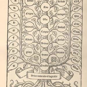 L’arbre de les relacions lògiques, segons una edició de 1512 de la Logica nova.